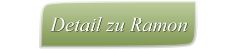 Detail zu Ramon
